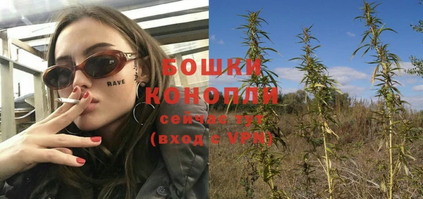 дживик Иннополис