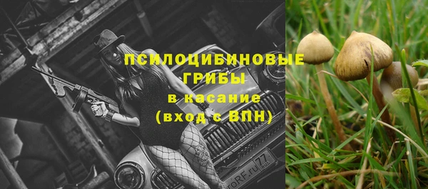 MESCALINE Заводоуковск