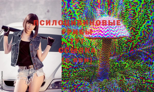 прущая мука Заволжье
