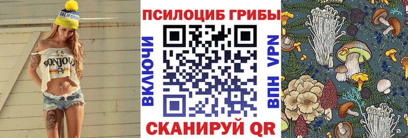 Псилоцибиновые грибы Cubensis  Пойковский 